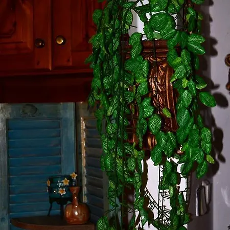 Apartment Amversa's