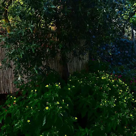 Amversa's Skála Marión