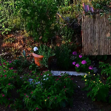 Amversa's Skála Marión