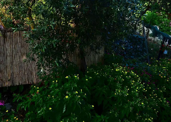 Amversa's Skála Marión