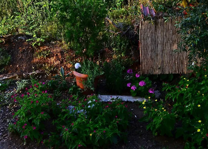 Amversa's Skála Marión